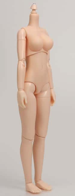 Obitsu SBH - L 24cm Female / Chica NATURAL BODY DOLL - Dolls.moe