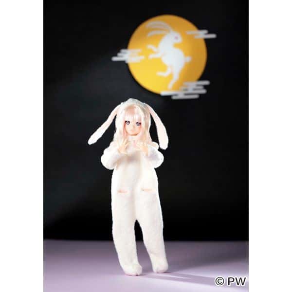 PETWORKS® RURUKO DOLL MUÑECA "23ETO USAGUI USAGI" NEW MINT IN BOX (NIB) - Dolls.moe