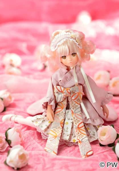 PETWORKS® RURUKO DOLL MUÑECA "CCS 18SS" NEW MINT IN BOX (NIB) - Dolls.moe