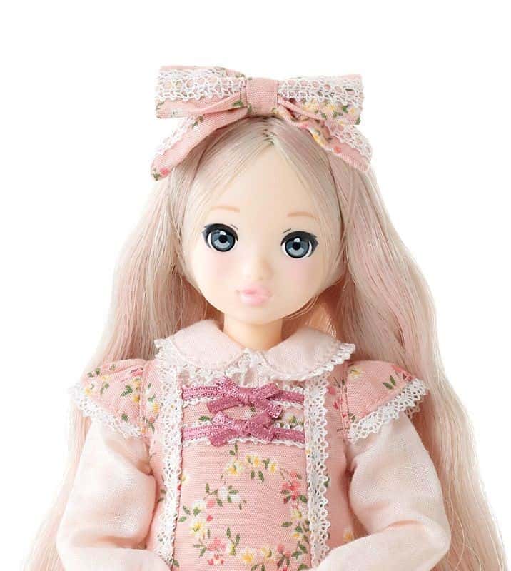 PETWORKS® RURUKO DOLL MUÑECA "CCS 23SS" NEW MINT IN BOX (NIB) - Dolls.moe