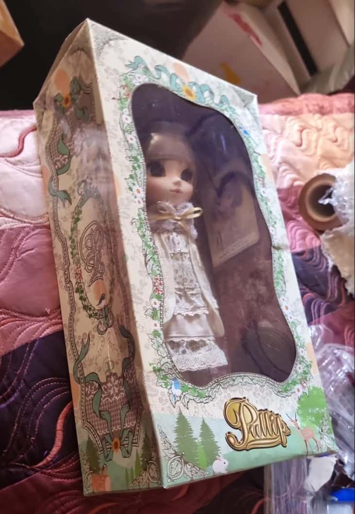 [DAMAGED BOX] Muñeca Pullip MOMORI Groove Jun Planning Doll NRFB - Dolls.moe